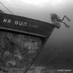 "My Bud & Mr Bud"  My first experience of underwater phot... by Debi Henshaw 